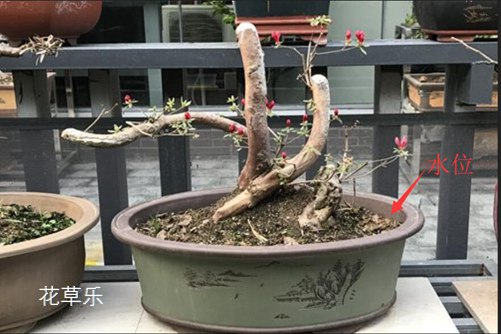 牙美牙膏国产在线观看免费中文，你的微笑，我们的承诺——打造口腔护理新纪元
